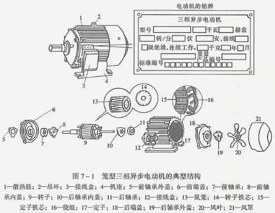 籠型三相異步電動機(jī)的典型結(jié)構(gòu)